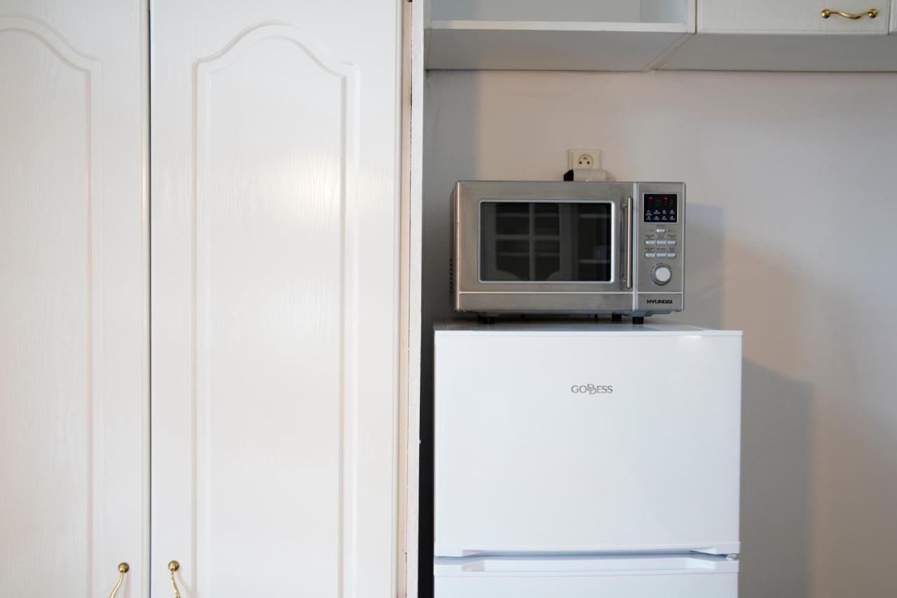 City Centre Apartment Demio カルロヴィ・ヴァリ エクステリア 写真